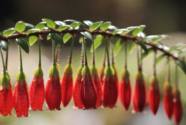 广州天河区3私人快速借钱网，轻松解决资金难题