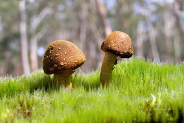 广州天河区3私人老板放款：轻松融资的秘密通道